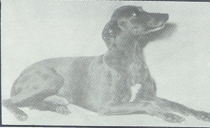 Silver Knight Of Bewick 1