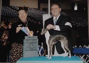 Derrick Extreme Starof Fame 1