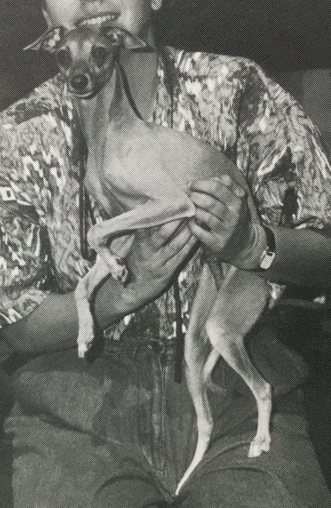 Lena Buono Paolo 1