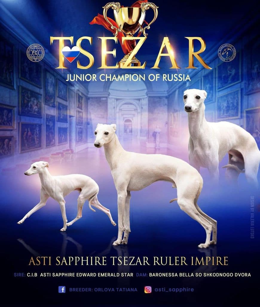 Asti Sapphire Tsezar Ruler Empire 1