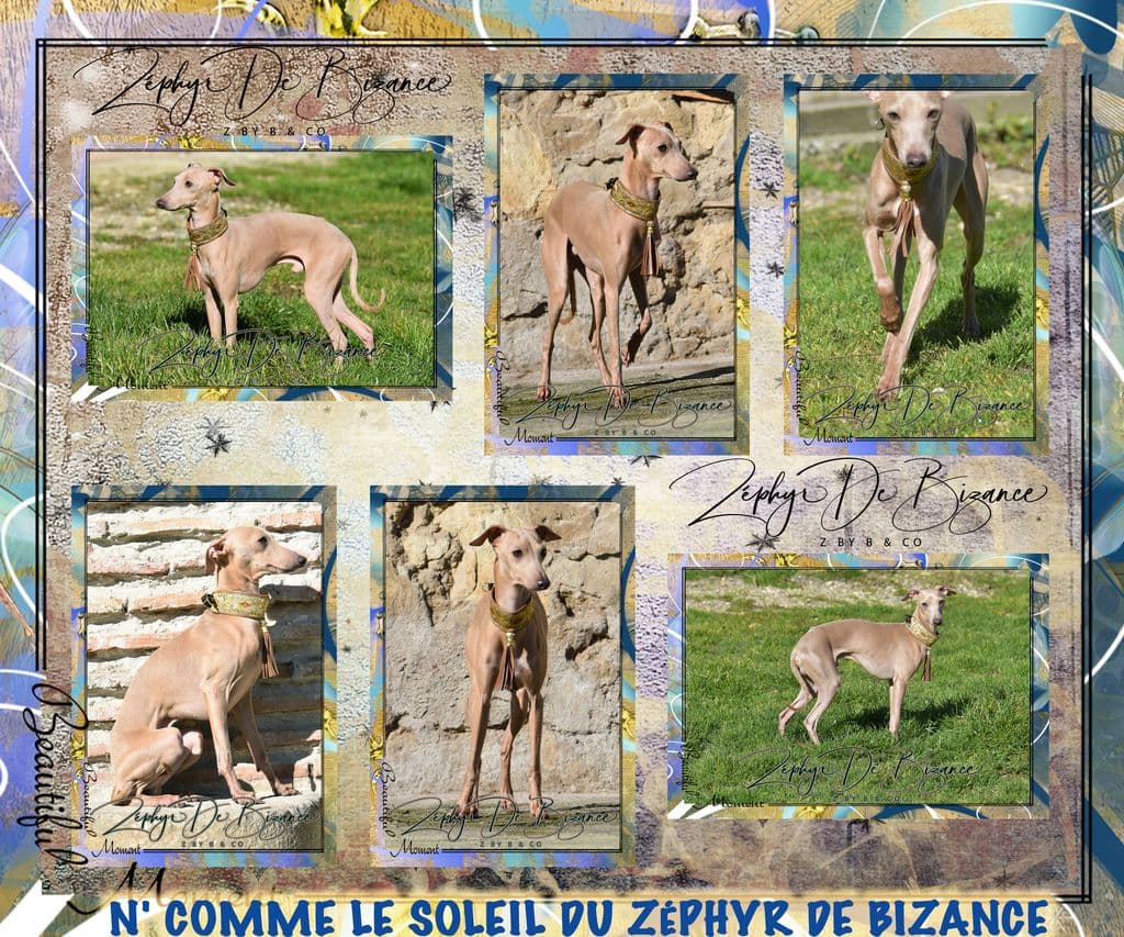 N'Comme Le Soleil Du Zéphyr De Bizance 1