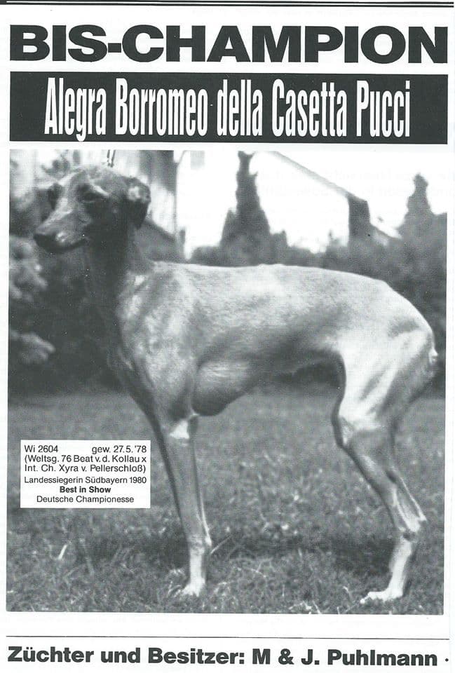 Alegra Borromeo Della Casetta Pucci 1