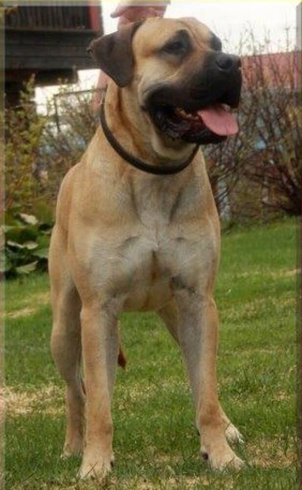 YUNO DE CAMARMENA 1