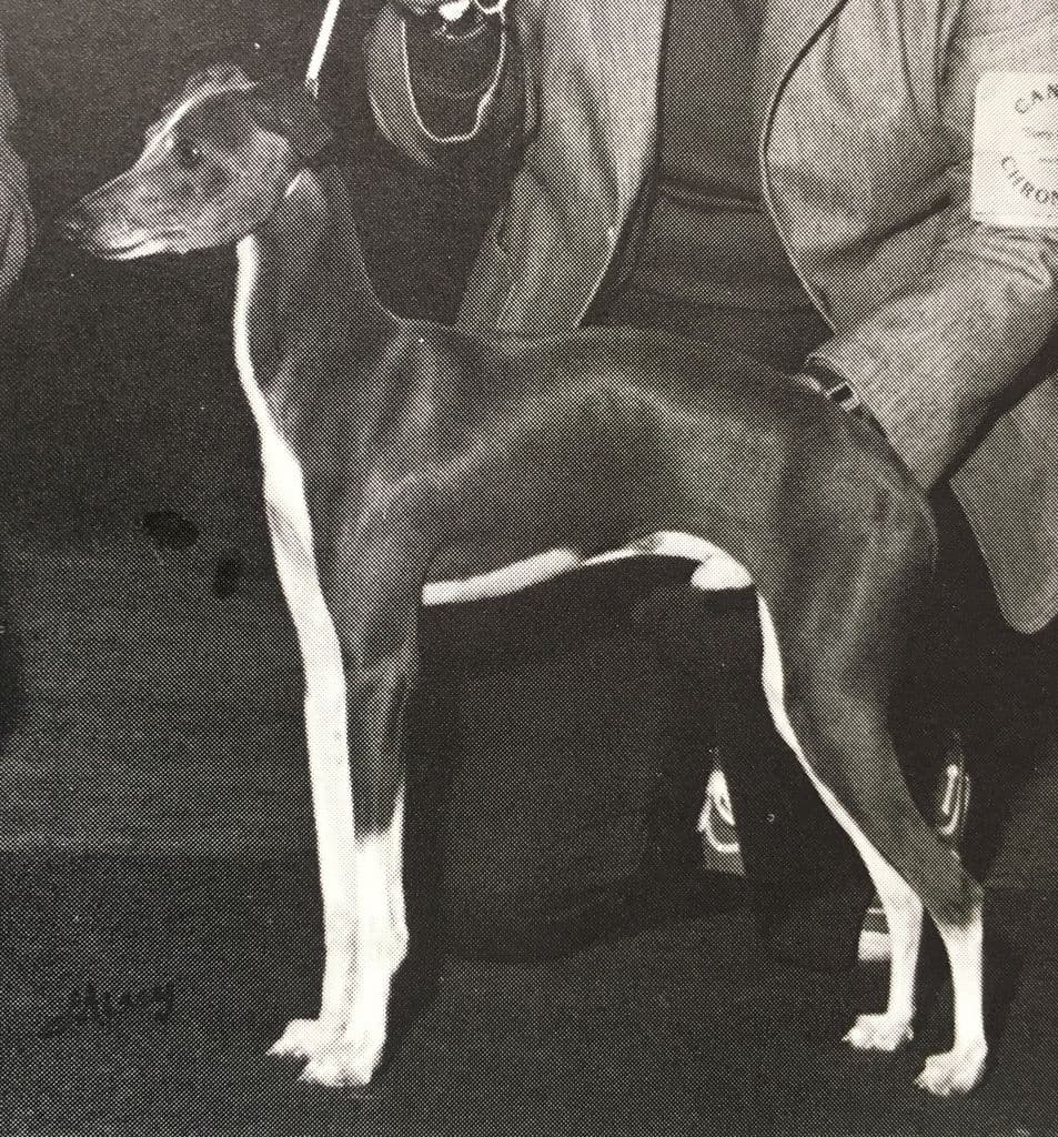 Rodolfo Di La Scala 1