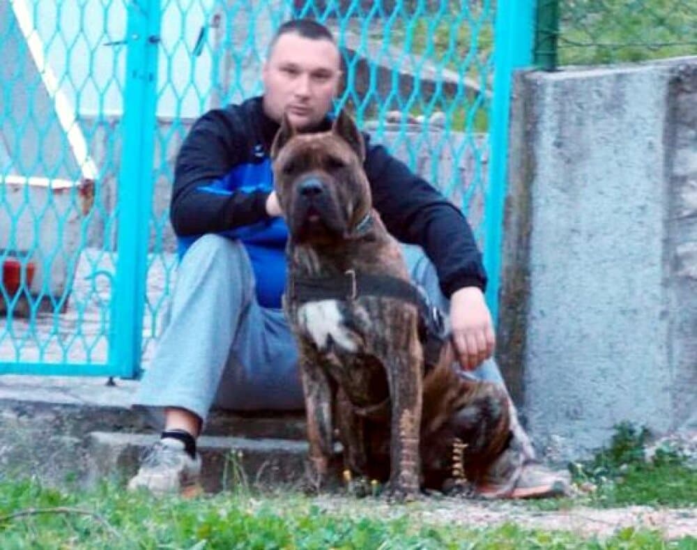 OSCAR ANTIVARI BULL 1
