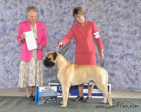 BANSTOCK BENEFICIARY OF HIGHPOINT 1