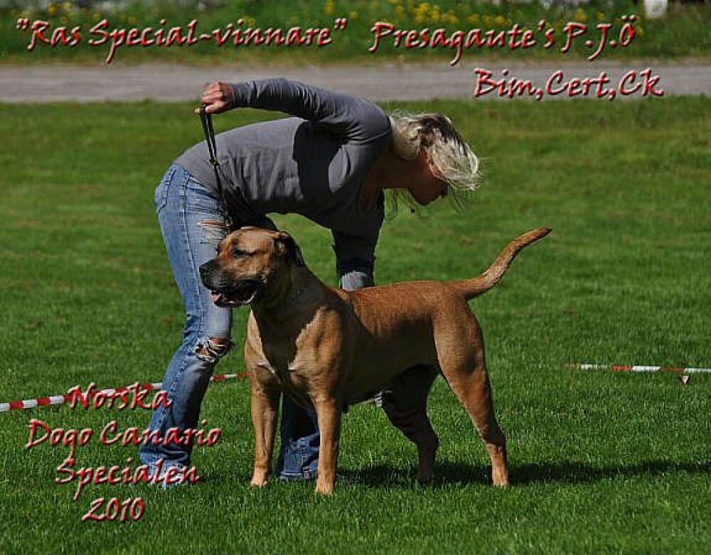 PRESAGAUTE'S P.J.O 1