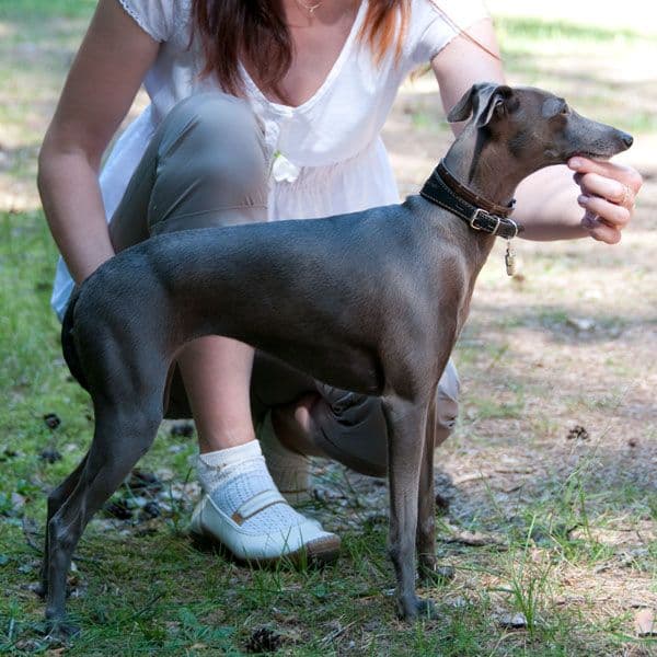 Annabella Il Vento Italiano 1
