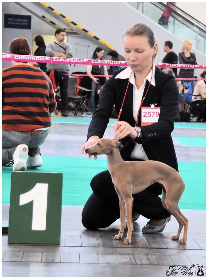 Stupor Mundi Xuxa Royal Child 1
