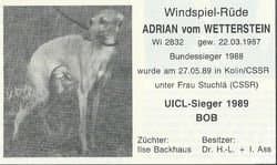 Adrian Vom Wetterstein 1