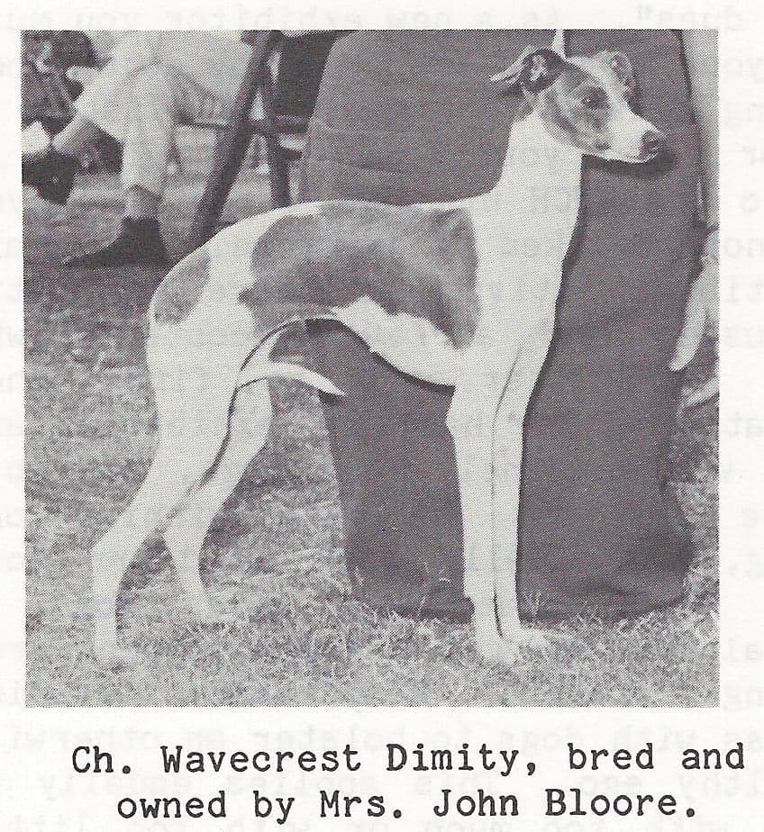 Wavecrest Dimity 1