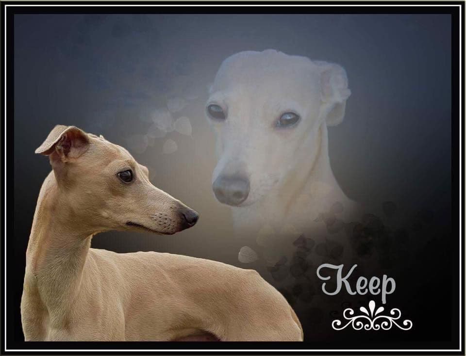 Simply Heurekas Keep Cool 1