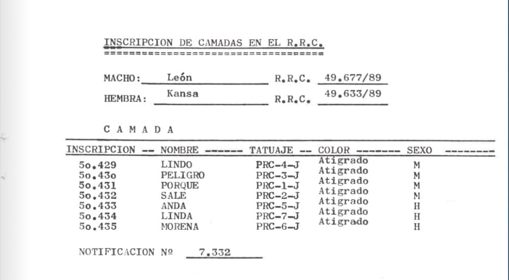 ANDA DE LOS ENANOS 1