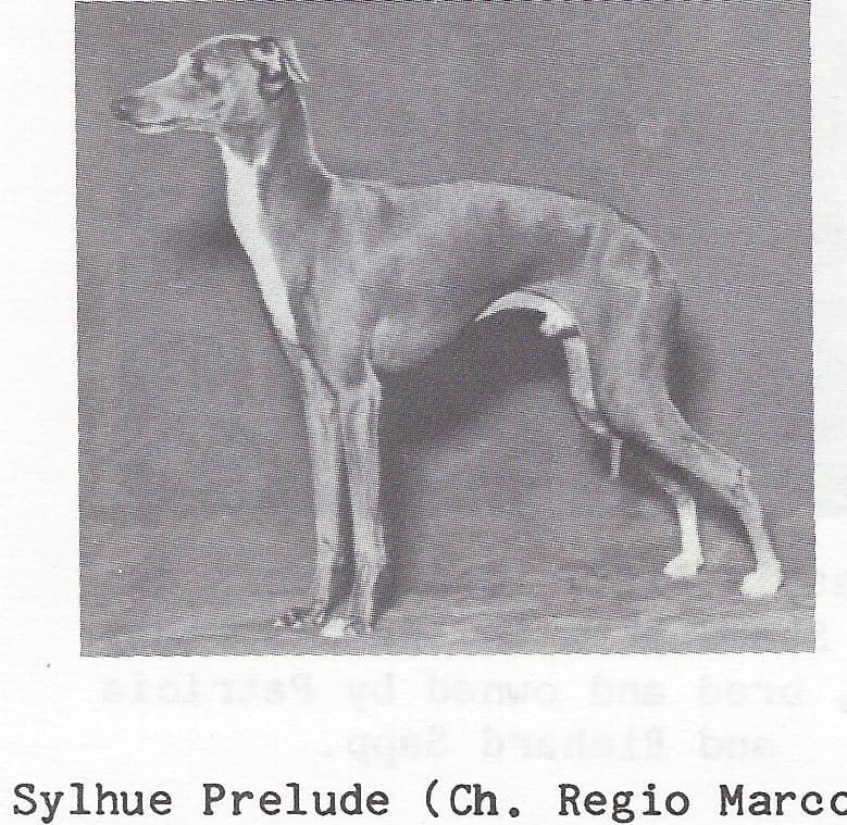 Sylhue Prelude 1