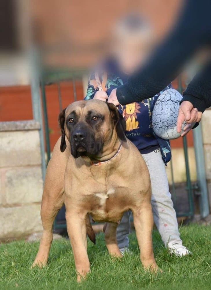 BERTA